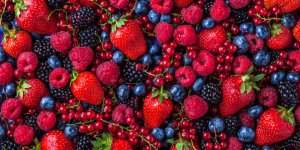 Fruits rouges : comment eviter qu’ils moisissent en 24h quand il fait chaud ?