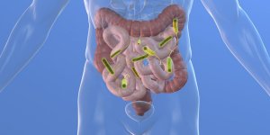 Flore intestinale : 6 signes que le microbiote est deregle