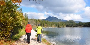 3 sports recommandes pour prevenir le declin cognitif, selon une etude