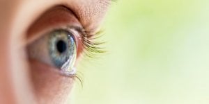 La taurine reduit vos risques de maladies cardiaques et de cecite