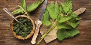 Chute de cheveux : l-ortie comme remede naturel