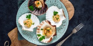 Coquilles Saint-Jacques : comment bien les choisir ?