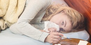Grippe aviaire ou grippe H1N1 : la difference