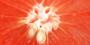 Antibiotique naturel : l-extrait de pepins de pamplemousse