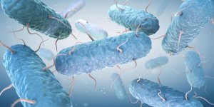 Gastro, intoxication alimentaire ou indigestion : la difference