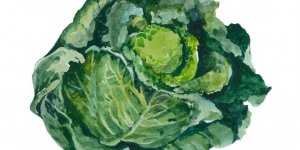  Une semaine de repas pour prevenir Alzheimer