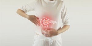 Le diabete pourrait etre explique par la perte de cellules du pancreas