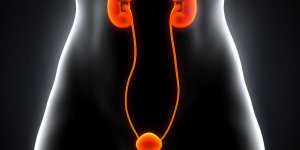 Maladie des reins : le pronostic du cancer du rein