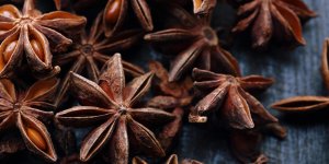 La badiane en infusion : une plante pour bien digerer