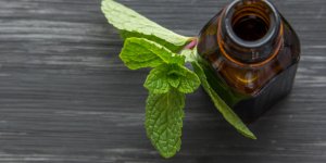 Menthe poivree : une huile essentielle qui fait maigrir du ventre