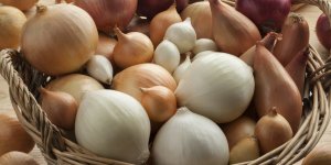 L-ail : votre allie pour reduire la glycemie