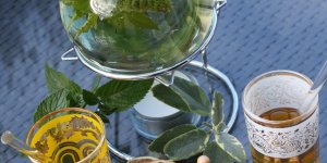 Les plantes d-hiver qui soignent