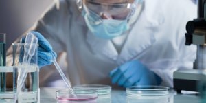 Maladie de Lyme : un nouveau test pour un diagnostic en 15 minutes
