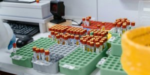 Helicobacter pylori : la bacterie silencieuse qui menace la sante de millions d’enfants