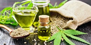 Huile de cannabis, THC, CBD : quelle sont ses vertus pour la sante ?