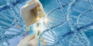 Hypercholesterolemie familiale : le diagnostic genetique