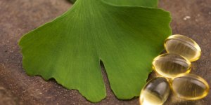 Gingko biloba : les dangers a connaitre