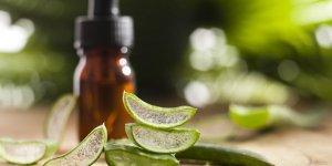 Gel d-aloe vera : peut-on l-utiliser en gynecologie ?