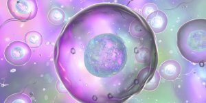 Lymphome du manteau : le traitement par autogreffe