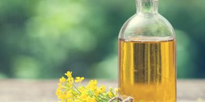 Les oleagineux, des aliments anticholesterol