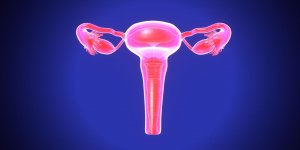 Cancer hormono-dependant : les ablations preventives chez la femme