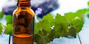 Soigner le rhume naturellement avec les huiles essentielles 