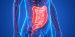 Vers intestinaux : comment savoir qu-on en a ?