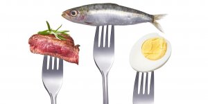 Les dangers du regime Dukan