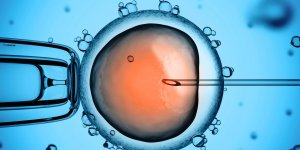 Insemination artificielle : le taux de reussite
