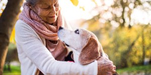 Les animaux de compagnie bientot admis en Ehpad : des animaux en maison de retraite ?