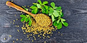 Phytotherapie : les indications du fenugrec