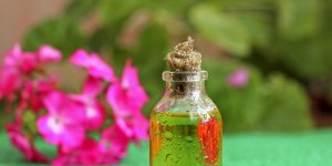 Verrue seborrheique: les huiles essentielles a tester
