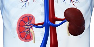 Diabete renal : la definition