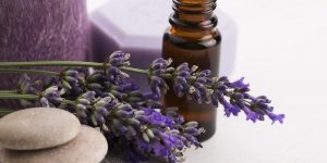 Huile essentielle de lavande : anti-piqures d-insectes