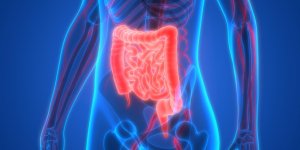 Antibiotiques : ces medicaments augmenteraient le risque de cancer du colon
