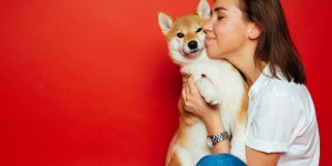 Les 5 bienfaits des animaux de compagnie pour la sante cardiaque