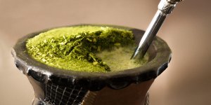 Plante pour maigrir : le mate
