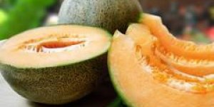  Les bienfaits sante du melon