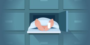Quels organes continuent de fonctionner apres la mort ?