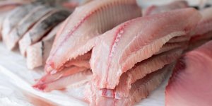 Un ver parasite retrouve dans un poisson vendu dans un magasin Intermarche