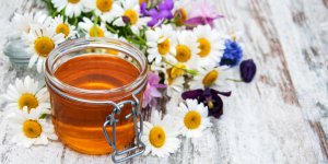 Gelee royale et cancer hormonodependant : attention, danger