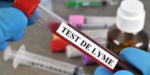 Maladie de Lyme : bientot un vaccin pour se proteger des morsures de tiques 