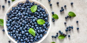 Myrtilles : cet aliment miracle reduit le risque d’Alzheimer et d’infarctus