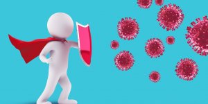 Covid-19 : des singes contamines ont developpe une immunite a court terme