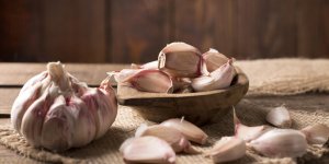 Candida albicans : l-ail comme traitement naturel