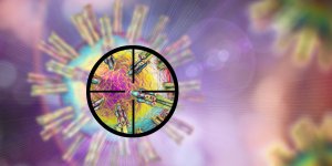 Coronavirus : un medicament capable de neutraliser tous les variants du Covid-19
