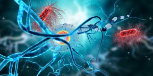 Epilepsie frontale : 3 symptomes a connaitre