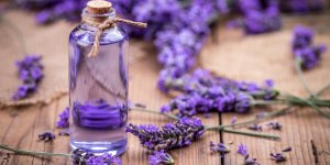 Comment utiliser l-huile essentielle de lavande pour la beaute des cheveux