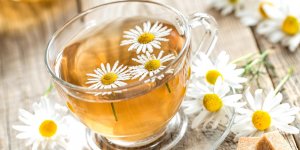 Tisanes minceur : une infusion de camomille