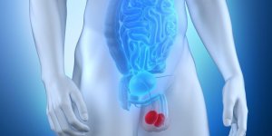 Douleur aux testicules : 5 causes possibles